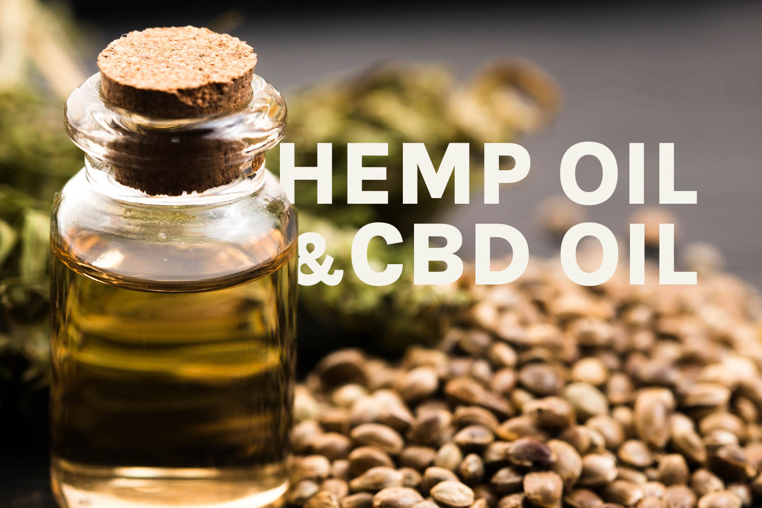 Featured post image of Hemp Oil vs CBD Oil – What’s the difference?